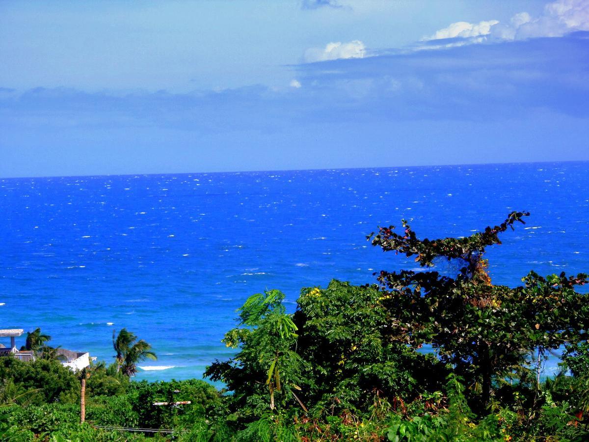 Oasis Resort And Spa Boracay Exteriér fotografie